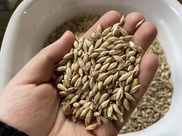 清香型大曲质料