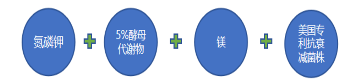 酵母营养手艺的焦点优势