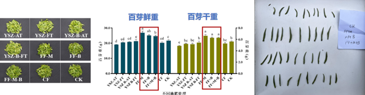 酵母代谢物功效特点