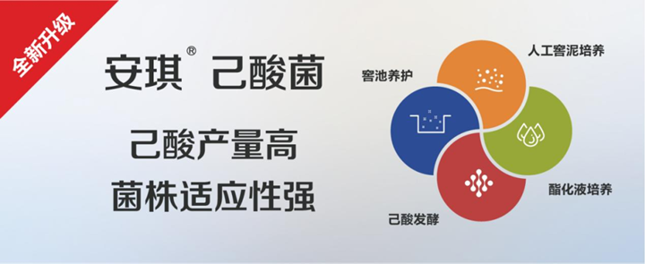 云顶集团4008己酸菌