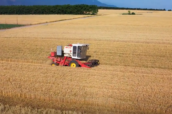 新阵线酵母代谢物复合肥