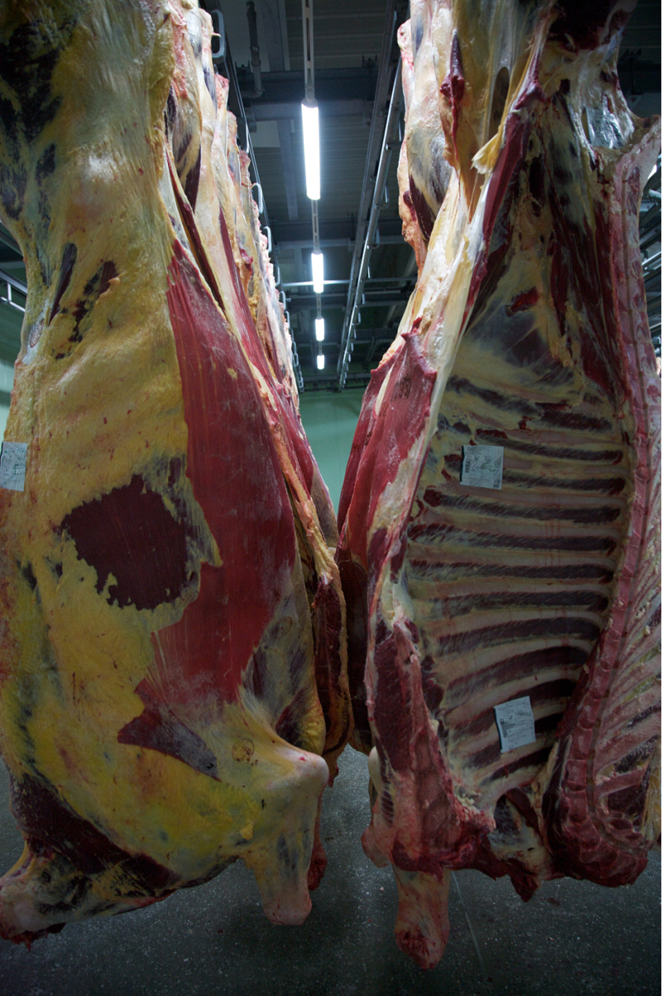 肉牛羊出栏时体型好、、无油包、、长肉快