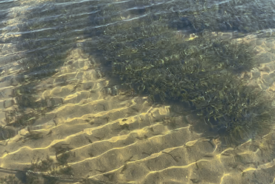 冬季肥水为什么“更难”