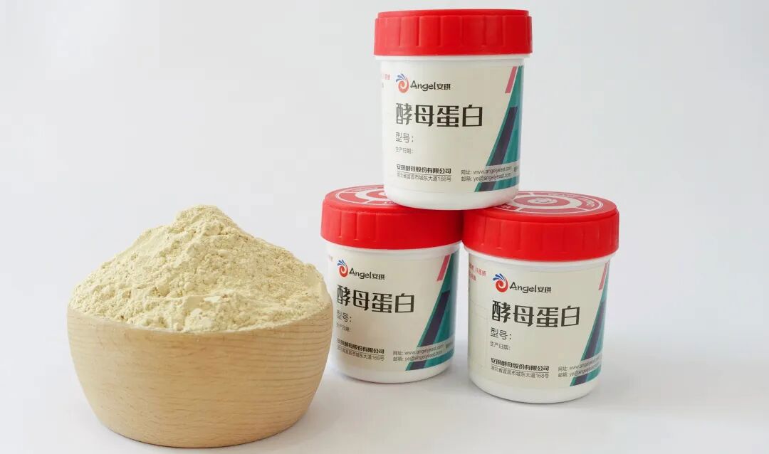 云顶集团4008卵白