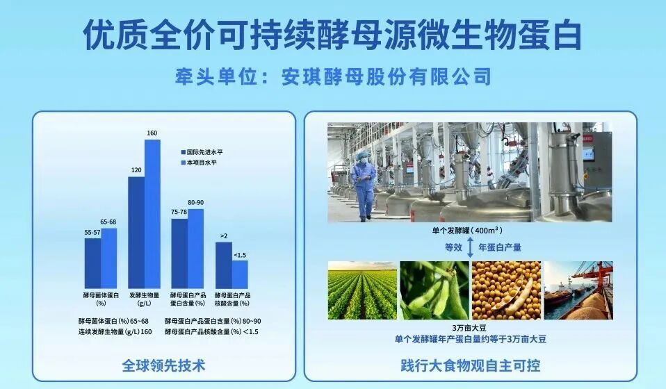 优质全价可持续酵母源微生物卵白