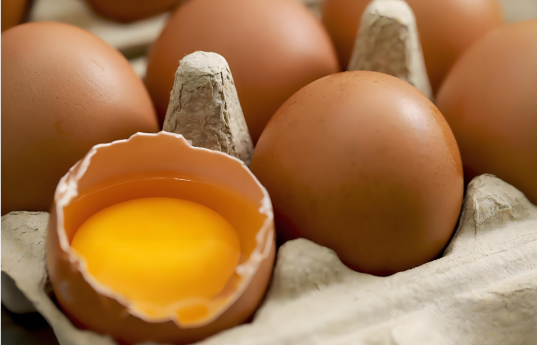 吉奥康(富硒型)改善鸡蛋