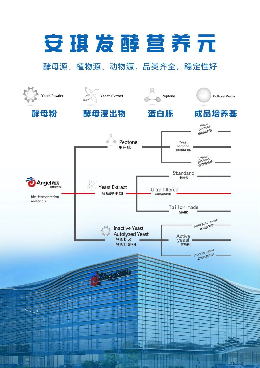云顶集团4008发酵发酵营养元