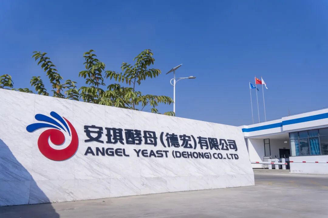 云顶集团4008(德宏)有限公司 云顶集团4008(德宏)有限公司