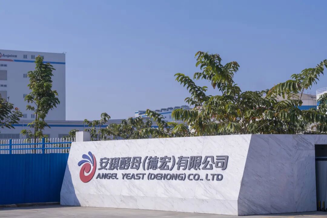 云顶集团4008德宏工厂的故事 云顶集团4008德宏工厂的故事