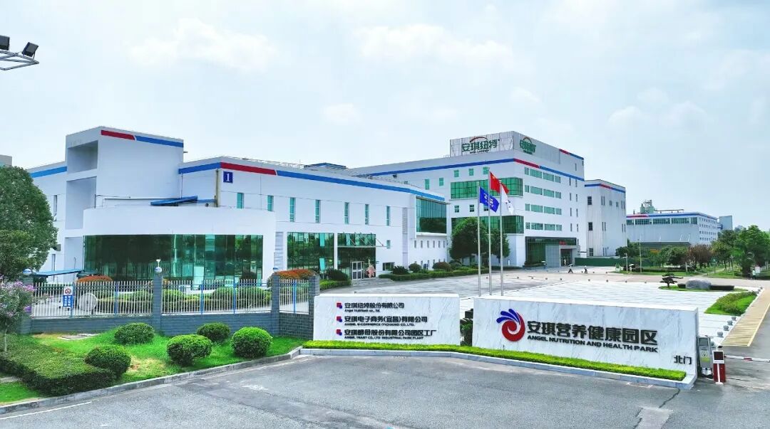 走进云顶集团4008园区工厂 走进云顶集团4008园区工厂