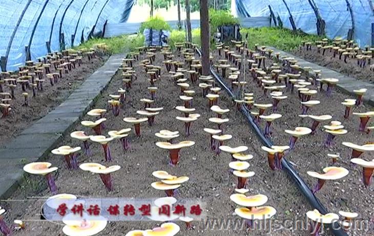 伟德BETVlCTOR网页版(1946)官网登录入口