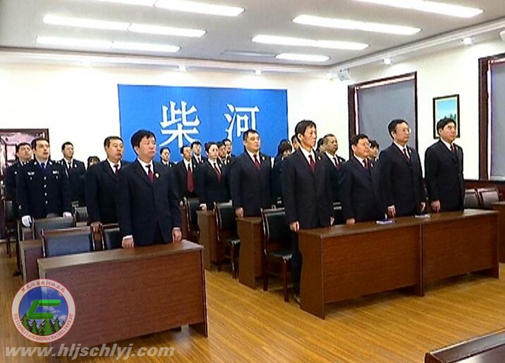 伟德BETVlCTOR网页版林区人民审查院举行首批员额审查官宪法宣誓仪式